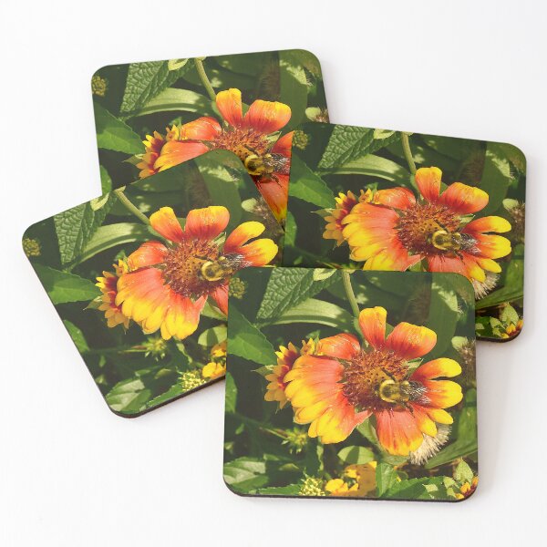 Item preview, Bumblebee on an Indian Blanket Flower designed and sold by MercerImages.