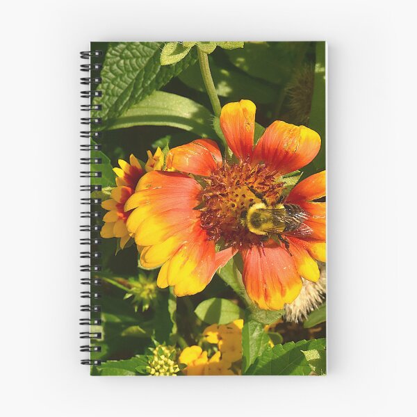 Item preview, Bumblebee on an Indian Blanket Flower designed and sold by MercerImages.