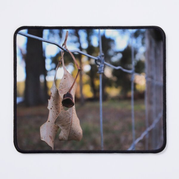Item preview, Just Hanging Around designed and sold by AquaVista Photography - Jackie Campbell.