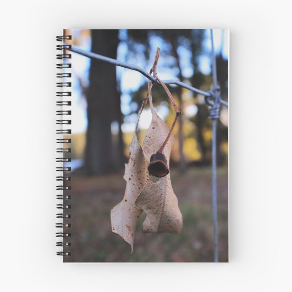 Item preview, Just Hanging Around designed and sold by AquaVista Photography - Jackie Campbell.