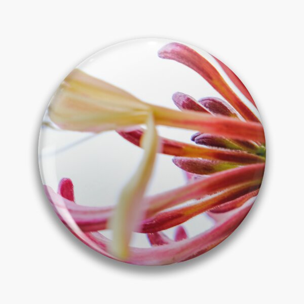 Item preview, Honeysuckle flower designed and sold by Photopat.