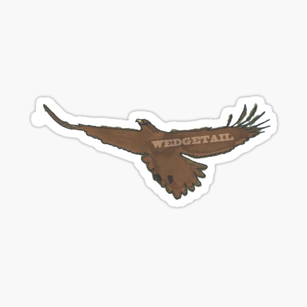 Wedge-Tailed Eagle Silhouette – Sky Ruler Sticker