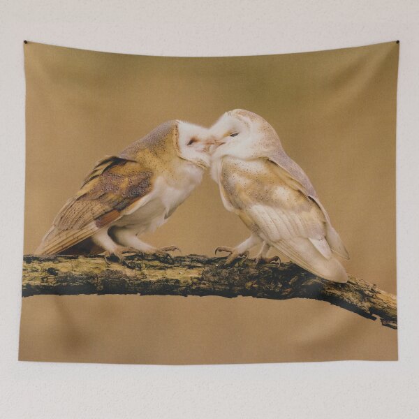 Item preview, Kissing Owls  designed and sold by Buckwig.