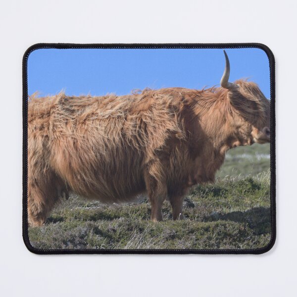 Item preview, Highland Coo. Isle of Harris designed and sold by Derren Jones.