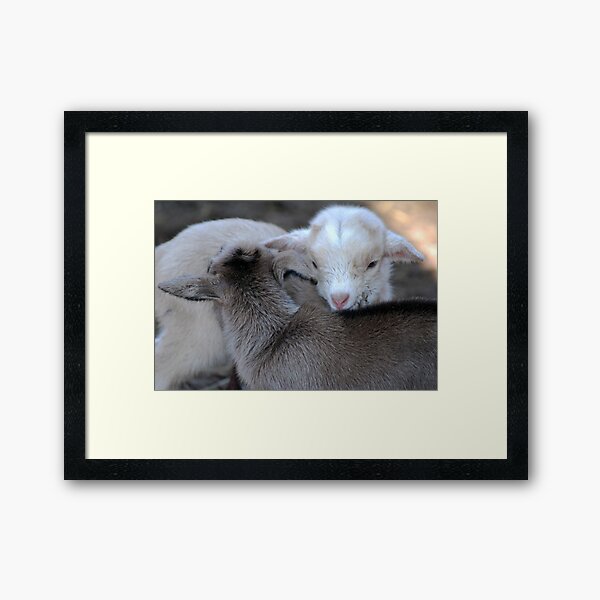Item preview, New Born Love designed and sold by laureenr.
