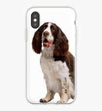 Spaniel iPhone Case