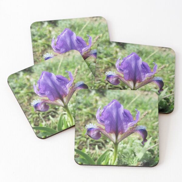 Item preview, Wild Iris designed and sold by Alexander Krishchyunas.