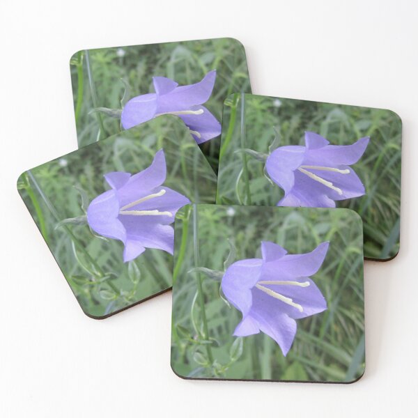 Item preview, Bellflower designed and sold by Alexander Krishchyunas.
