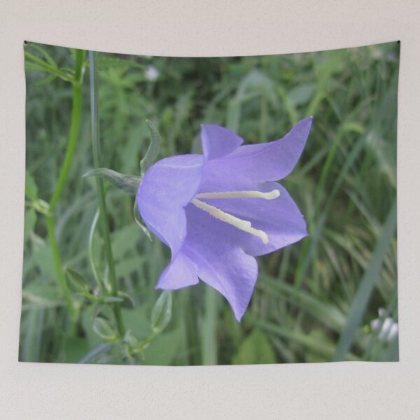 Item preview, Bellflower designed and sold by Alexander Krishchyunas.
