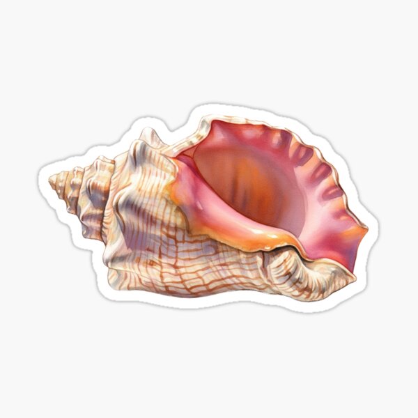 Item preview, Conch designed and sold by 4rtistcDrift.