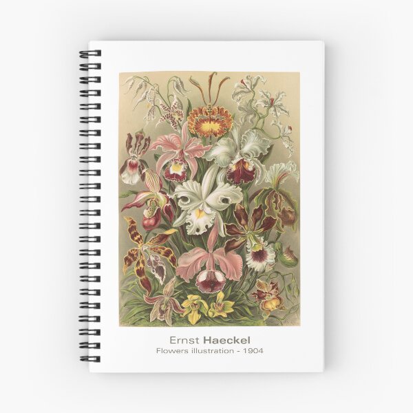 Item preview, Ernst Haeckel: Flowers illustration 1904 designed and sold by PinkDuckTees.