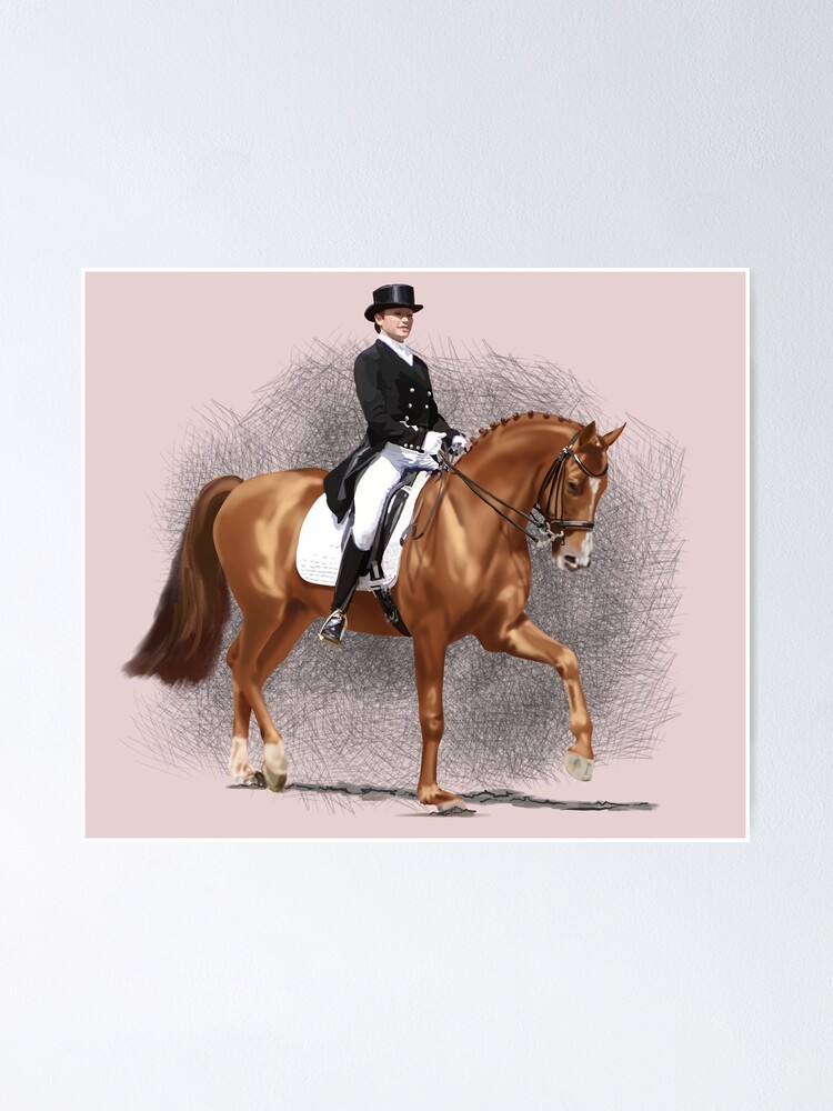 Poster Dressage de cheval. Cavalier de sport équestre 