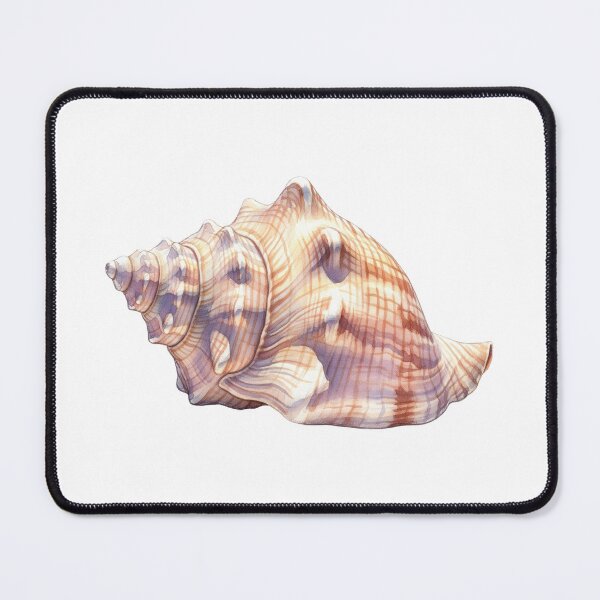 Item preview, Watercolour painting of a conch designed and sold by 4rtistcDrift.