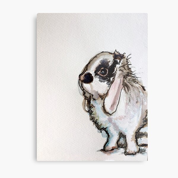 Mini Lop Rabbit Wall Art Redbubble