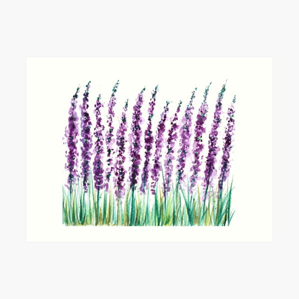 Violets Art Print