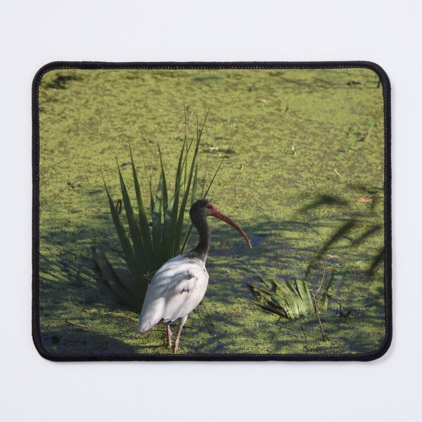 Item preview, Are you following me? designed and sold by Birdgirlcreates.