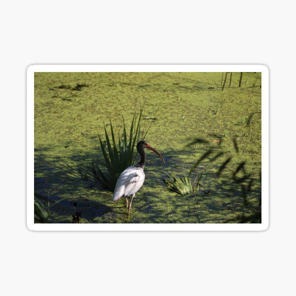 Item preview, Are you following me? designed and sold by Birdgirlcreates.