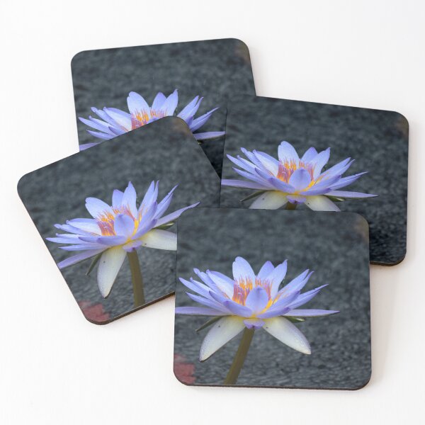 Item preview, Lotus in the Rain designed and sold by Tracy Engle.