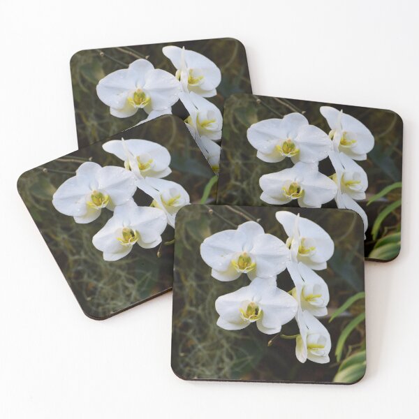 Item preview, White Orchids designed and sold by Tracy Engle.