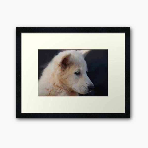 Item preview, Wolf Cub designed and sold by laureenr.