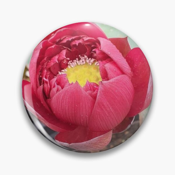 Item preview, Red umbrella lotus 1 designed and sold by Billiard6163.