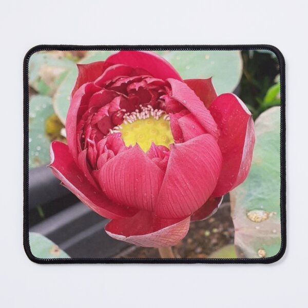 Item preview, Red umbrella lotus 1 designed and sold by Billiard6163.