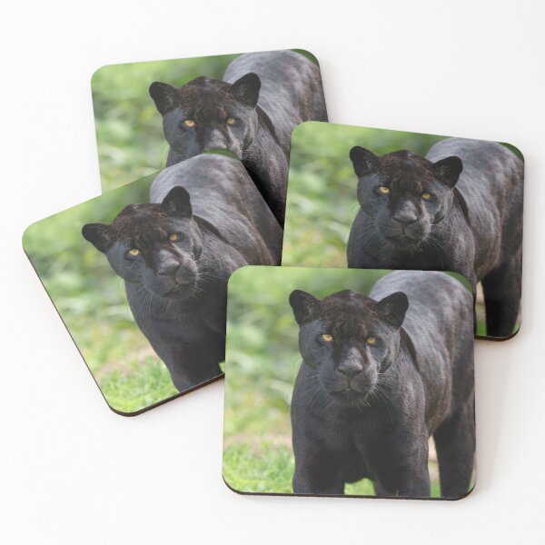 Item preview, Striking Jaguar Among Lush Foliage designed and sold by rawshutterbug.