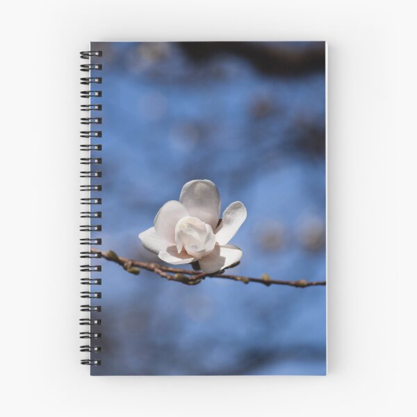Item preview, Newly Blossomed Magnolia designed and sold by Tracy Engle.