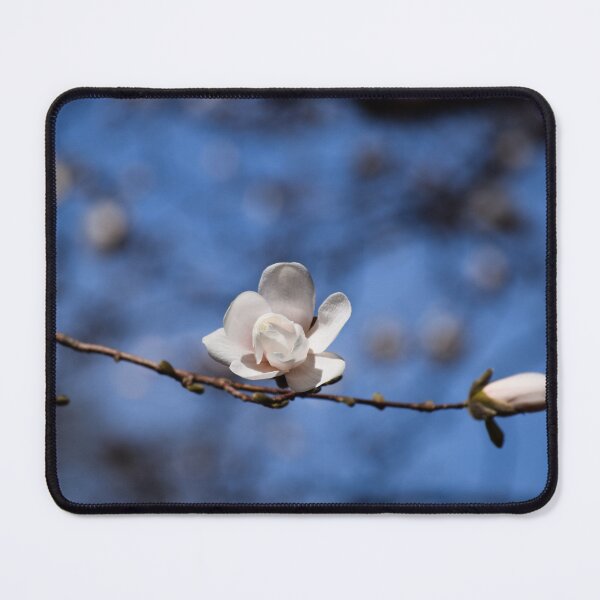 Item preview, Newly Blossomed Magnolia designed and sold by Tracy Engle.