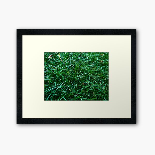 Item preview, green grass designed and sold by IgorKovalenko.