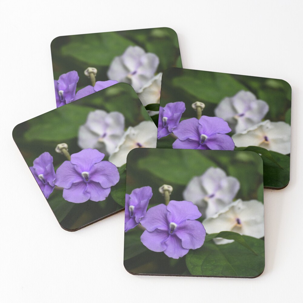 Item preview, Coasters (Set of 4) designed and sold by Reriginal.
