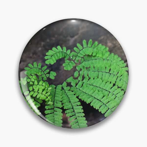 Item preview, Little Fronds designed and sold by Tracy Engle.