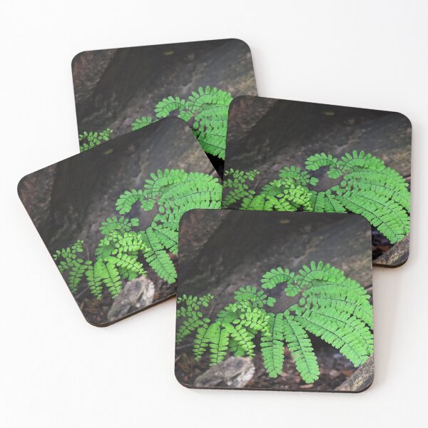 Item preview, Little Fronds designed and sold by Tracy Engle.