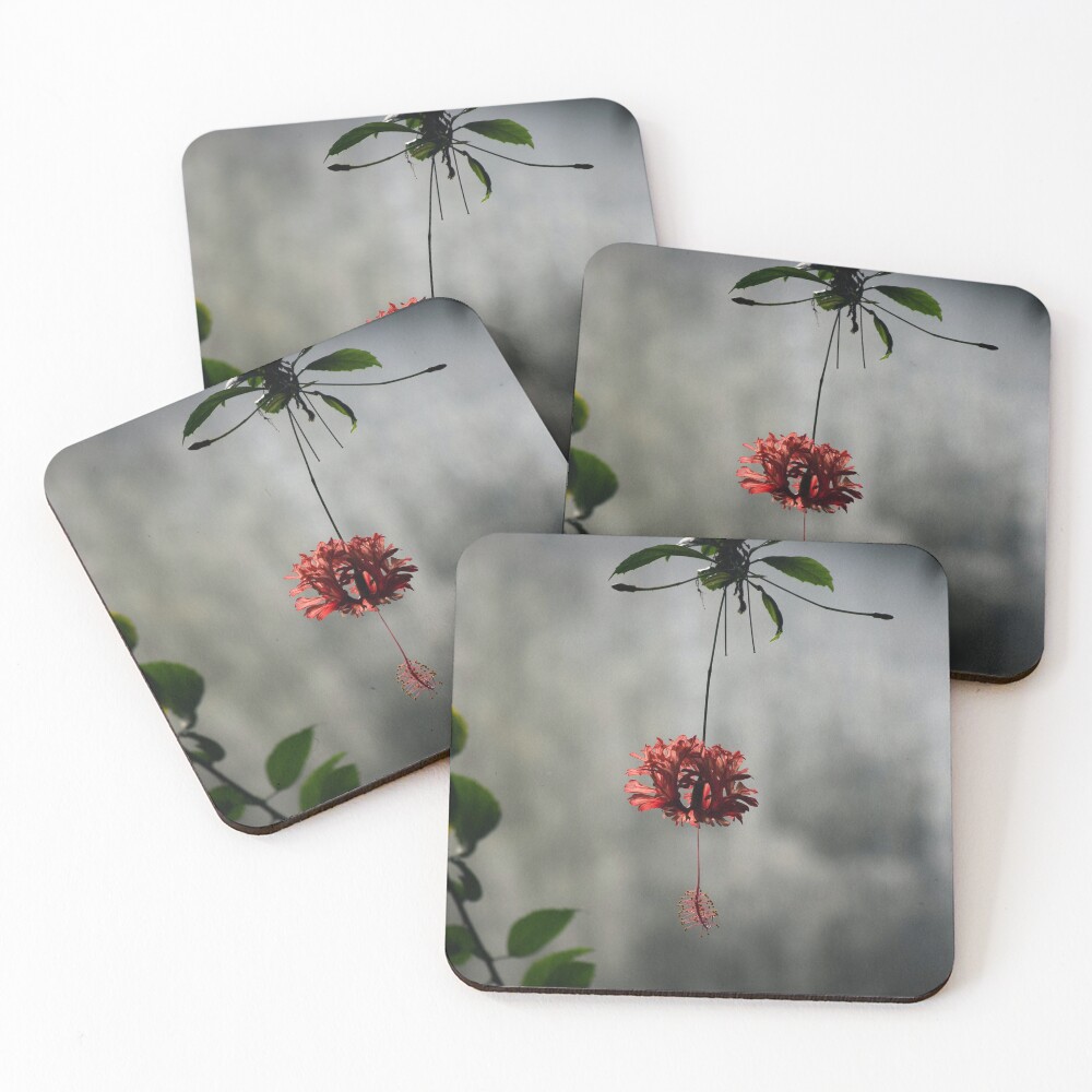 Item preview, Coasters (Set of 4) designed and sold by Reriginal.