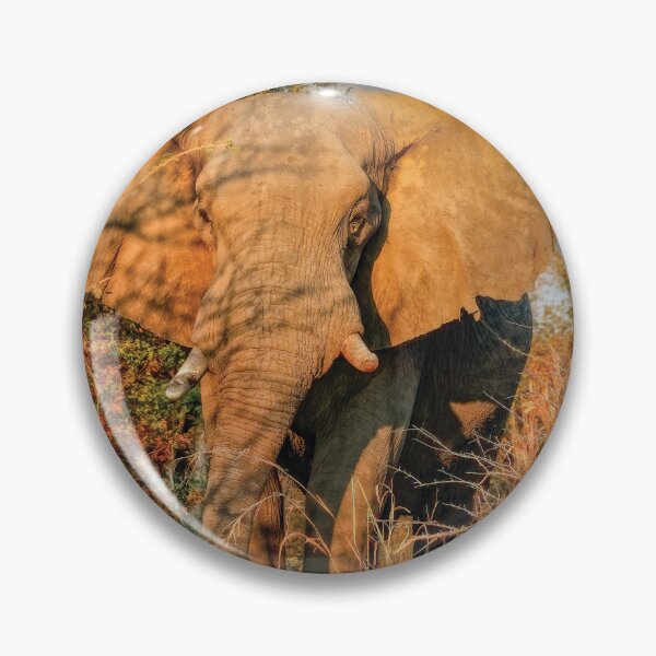 Item preview, Elephant On Approach designed and sold by Kay Brewer.