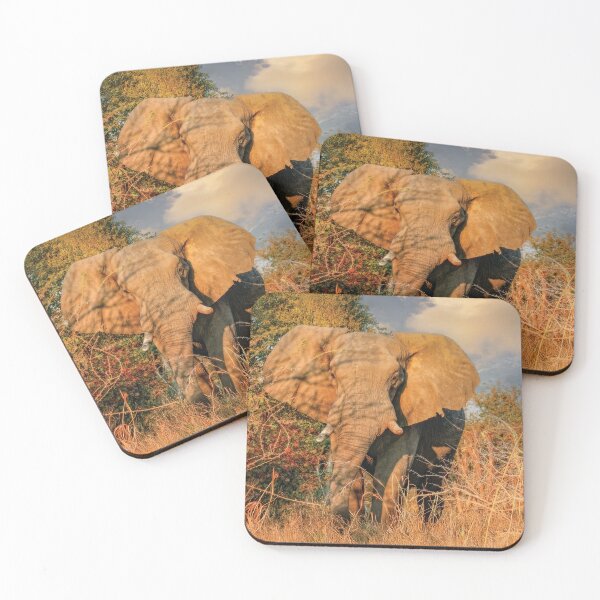 Item preview, Elephant On Approach designed and sold by Kay Brewer.