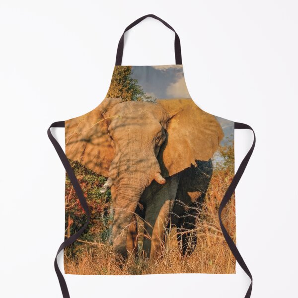 Item preview, Elephant On Approach designed and sold by Kay Brewer.