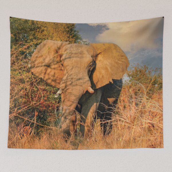 Item preview, Elephant On Approach designed and sold by Kay Brewer.