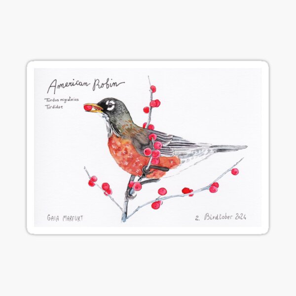 Item preview, American robin designed and sold by Gaia Marfurt.