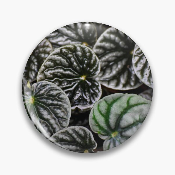 Item preview, Peperomia designed and sold by Tracy Engle.