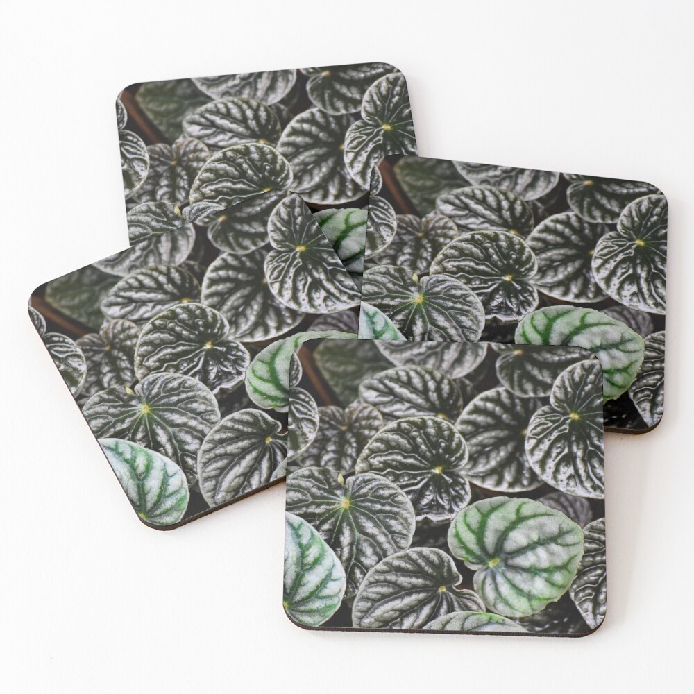 Item preview, Coasters (Set of 4) designed and sold by Reriginal.