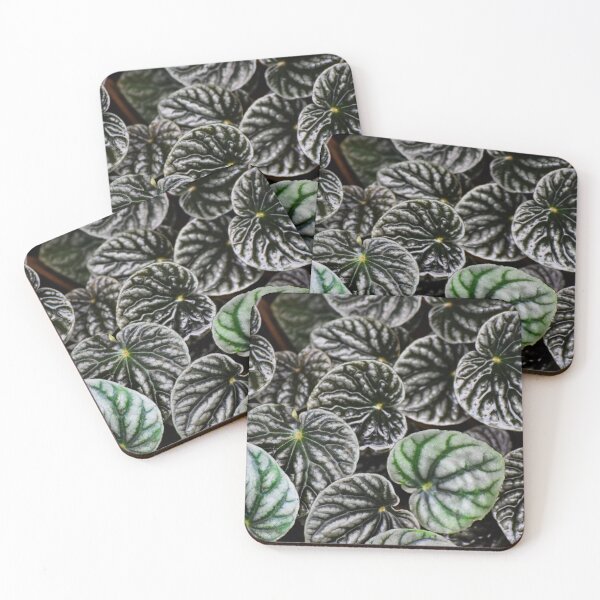 Item preview, Peperomia designed and sold by Tracy Engle.