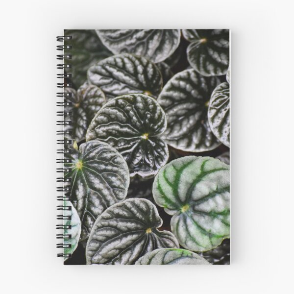 Item preview, Peperomia designed and sold by Tracy Engle.