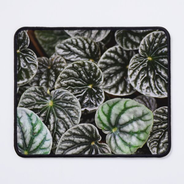 Item preview, Peperomia designed and sold by Tracy Engle.