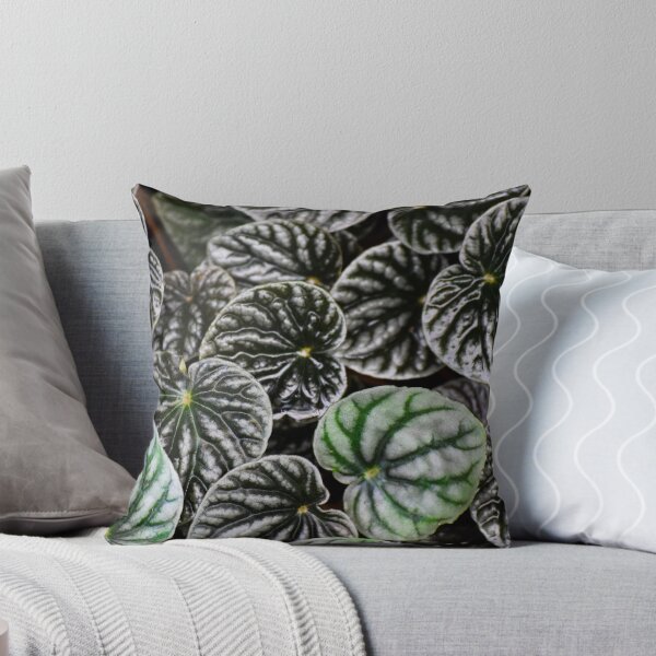 Item preview, Peperomia designed and sold by Tracy Engle.