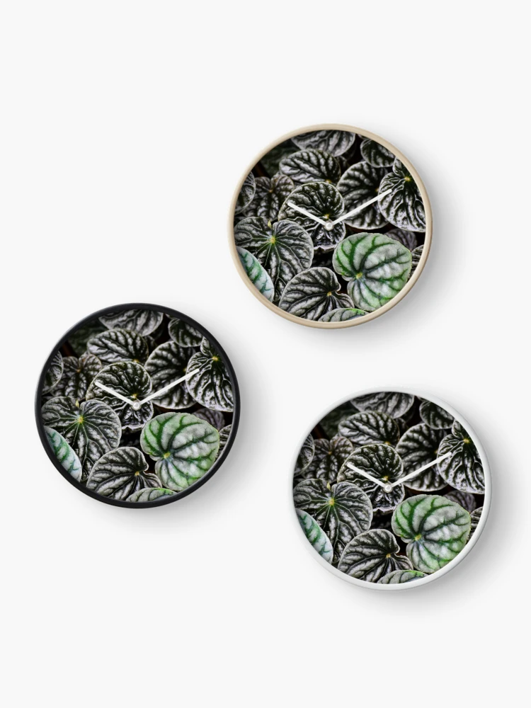 Thumbnail 3 of 4, Clock, Peperomia designed and sold by Tracy Engle.
