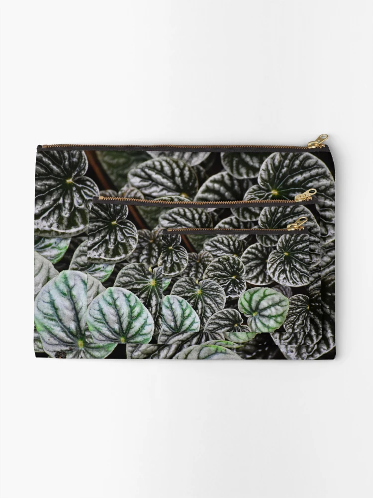 Thumbnail 2 of 4, Zipper Pouch, Peperomia designed and sold by Tracy Engle.