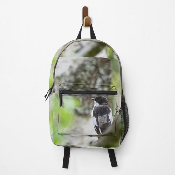 Item preview, Grayback. European pied flycatcher designed and sold by Jouko Lehto Photography.