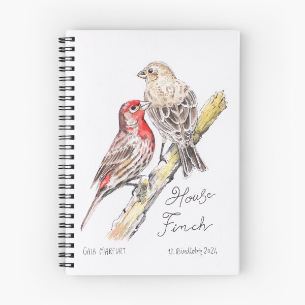Item preview, House Finch designed and sold by Gaia Marfurt.