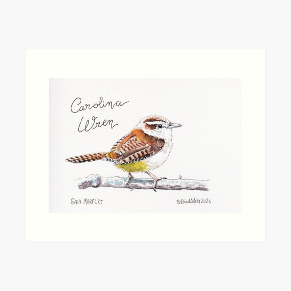 Item preview, Carolina Wren designed and sold by Gaia Marfurt.